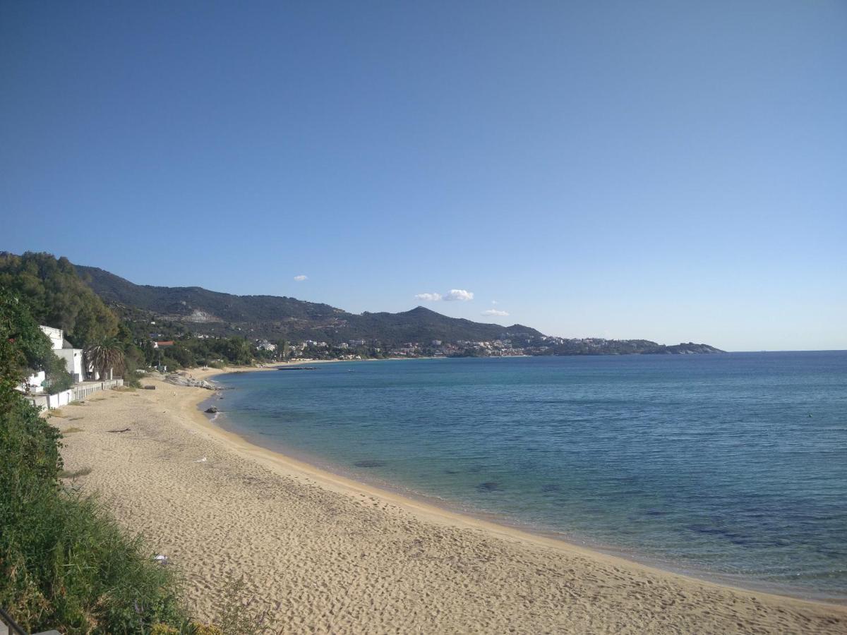 Beach House Emme Palaiontsiflikion Bagian luar foto