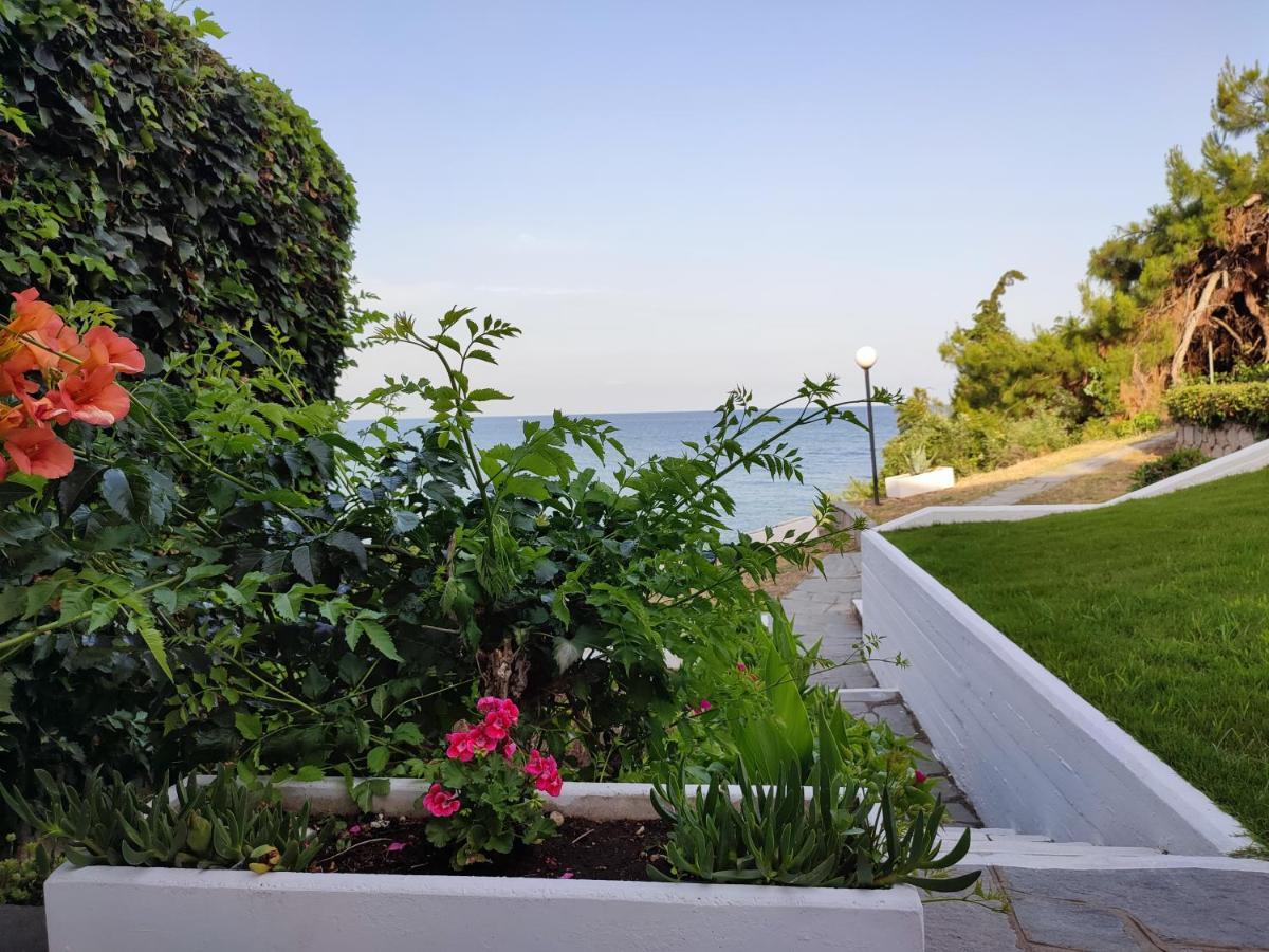 Beach House Emme Palaiontsiflikion Bagian luar foto
